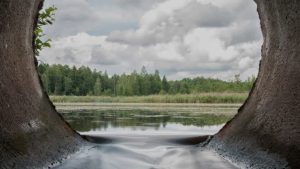 kvælstofudledning arkivfoto