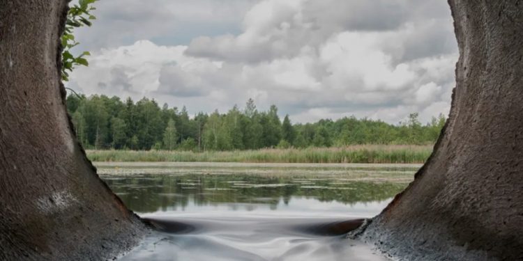 kvælstofudledning arkivfoto