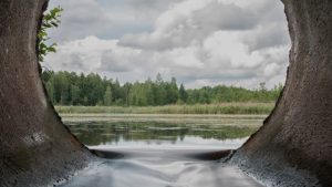 Kvælstofudledning til vandmiljøet skal reduceres arkivfoto