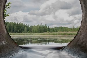 Kvælstofudledning til vandmiljøet skal reduceres arkivfoto