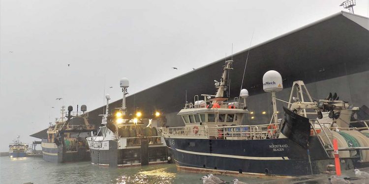 Manglende påbud gav frifindelse i kvotesagen Foto : PmrA