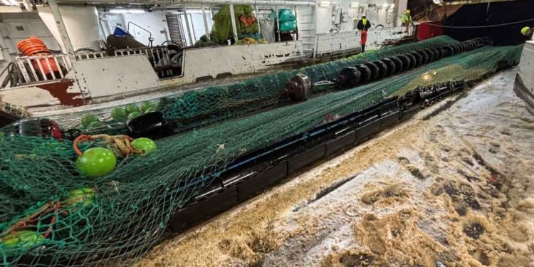 Lettere og mere skånsomt trawlfiskeri kan både øge fangstmængderne og reducere påvirkningen af havbunden. fiskebåt.no