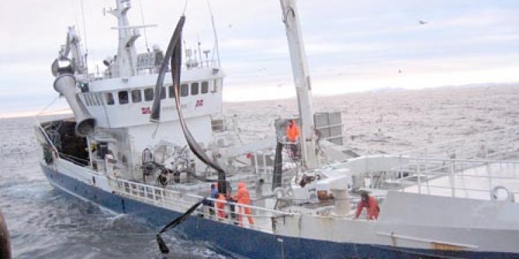Norge åbner trawlfrit område.  Modeltoto - Andreas M