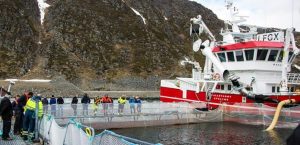 Det er det islandske Samherji, der i forvejen driver en flåde af fiskefartøjer og fiskefabrikker samt havbrug og fiskeopdræt, der også samtidig eksporterer deres egen produktion under mærket »Ice Fresh Seafood«.