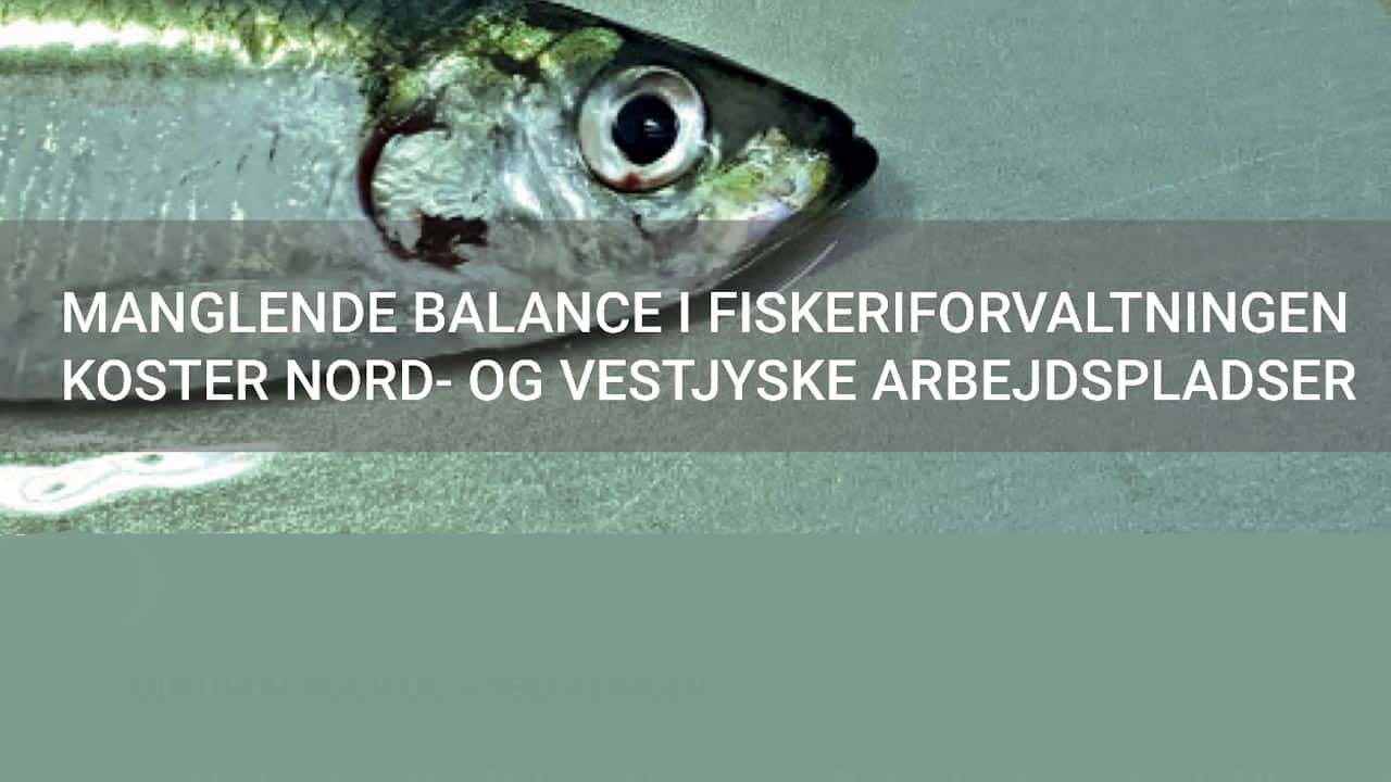 Read more about the article Fiskerierhvervet sender samlet opråb til politikerne