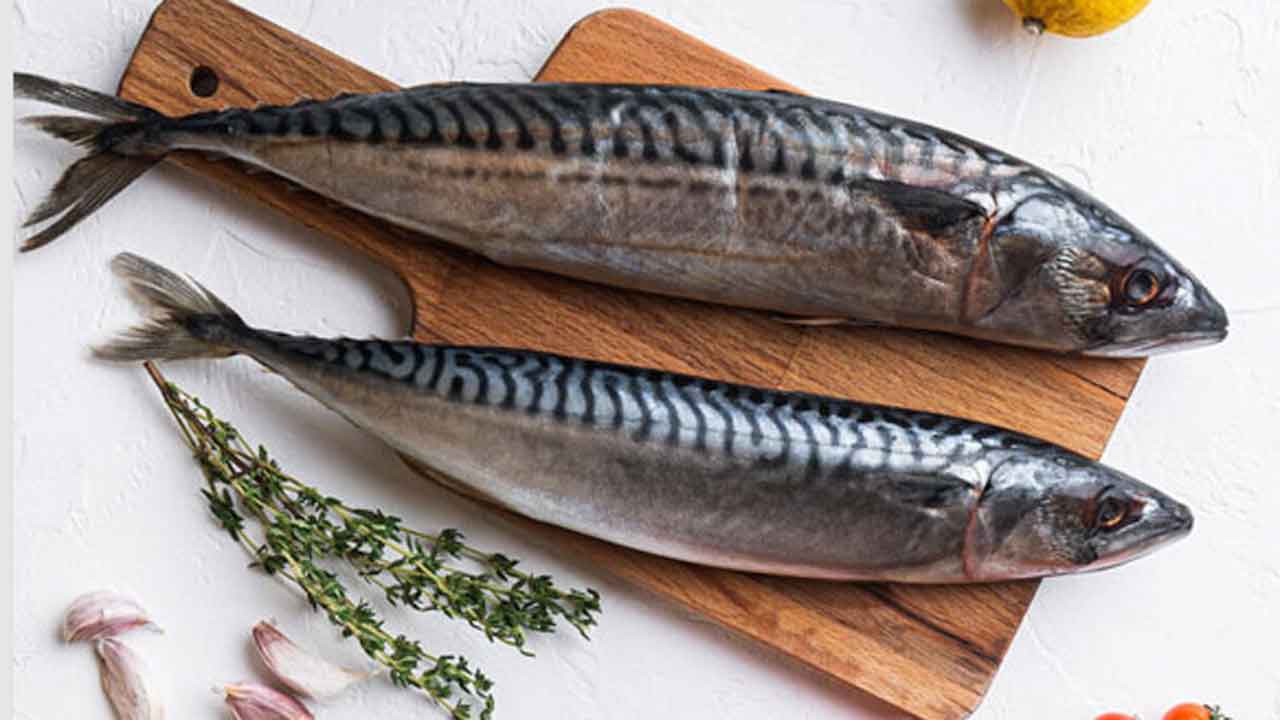 Read more about the article Sæby Fiske-Industri søger nye markeder og kæmper med høje råvarepriser