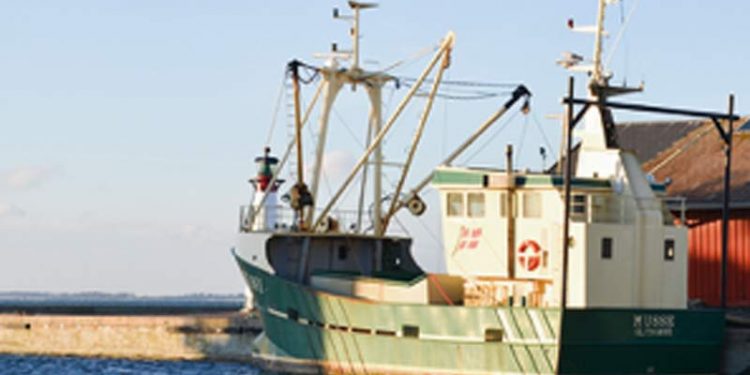 Erhvervsfisker - Del din viden om fiskeri og havmiljø. Arkivfoto: Miljøministeriet