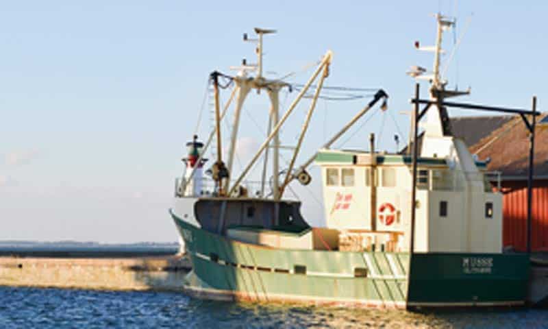 Read more about the article Erhvervsfisker – Del din viden om fiskeri og havmiljø