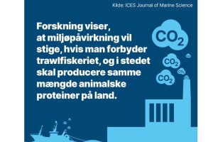 Miljøpåvirkning bundtrawl - dfpo - ICES