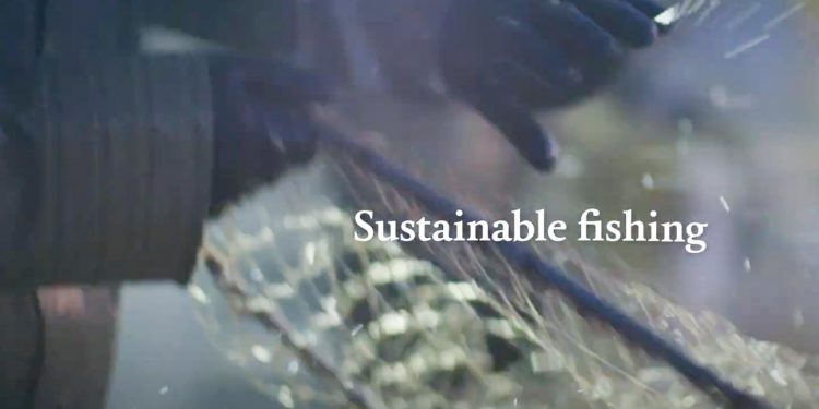 Se Marine Stewardship Council’s retoriske spørgsmål