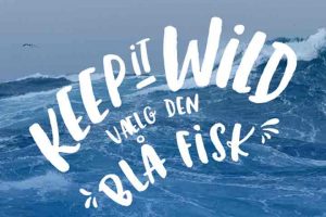 Danske fiskere verdensmestre i at fiske bæredygtigt. Ill: MSC