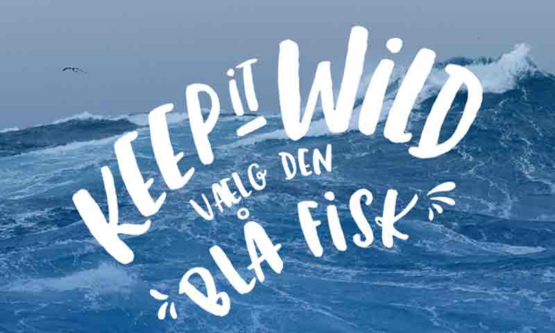Read more about the article Danske fiskere verdensmestre i at fiske bæredygtigt