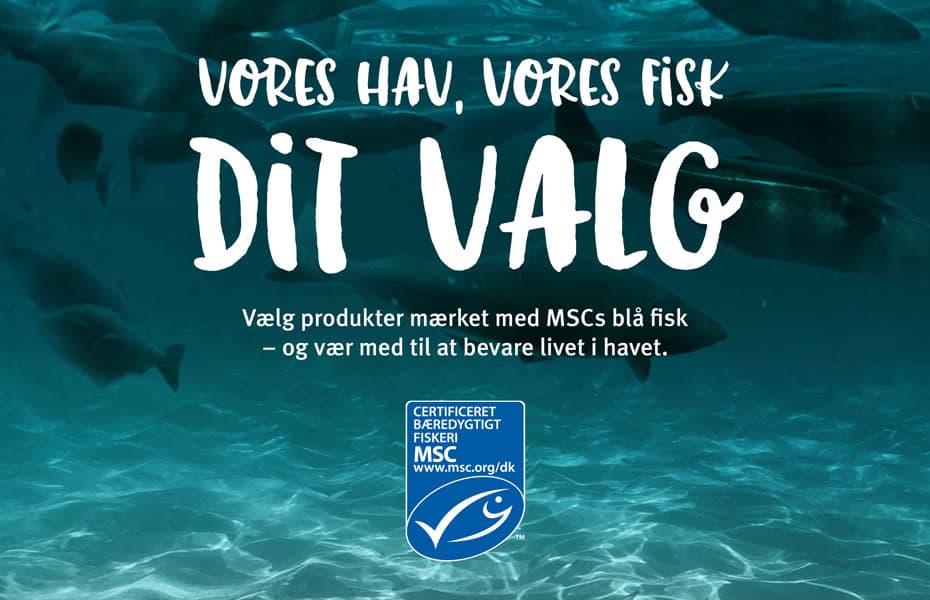 Read more about the article WWF og DN: Spyt i kassen – ellers dør havet nu!