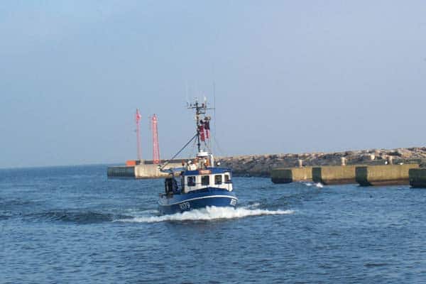 Read more about the article Torskefiskeri i den østlige Østersø – nu med MSC