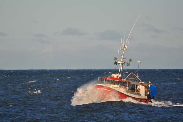 Read more about the article Trawlfiskeriet efter rødspætter i Nordsøen bliver nu MSC certificeret