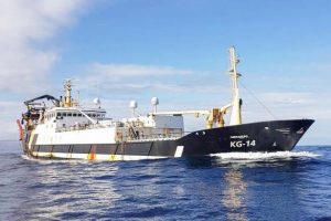 Færøerne: Blåhvillingen fiskes nu ud for Færøerne