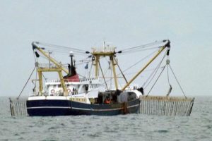 Danmarks Fiskeriforening kræver bedre kontrol af de hollandske bomtrawlere . Arkivfoto WY170