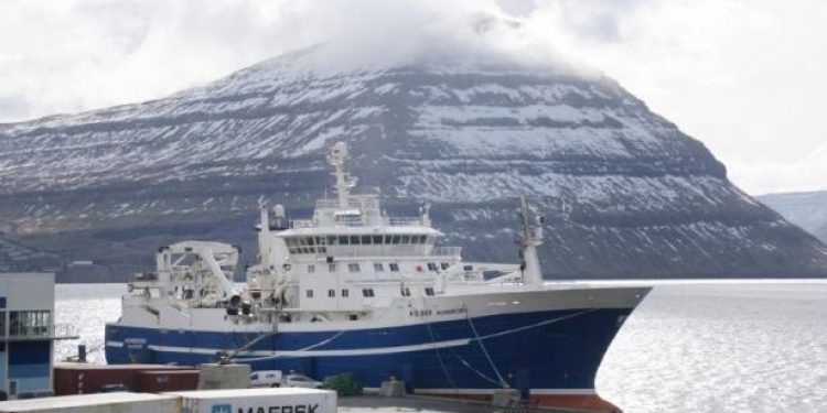 Færøerne: Forrygende sildefiskeri