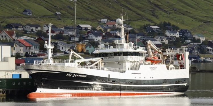 Færøerne: Fiskeindustrien Faroe Pelagic og Pelagos modtager fortsat sild. foto: Norðingur Kiran J