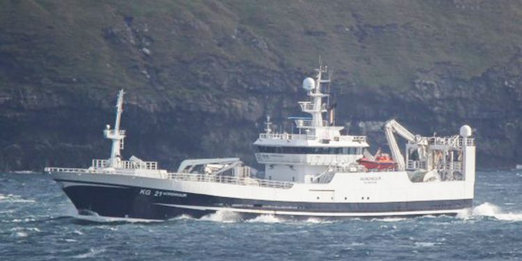 I Fuglefjord landede Norðingur i sidste uge en last på 1.600 tons blåhvilling til Havsbrún. foto: Kiran J