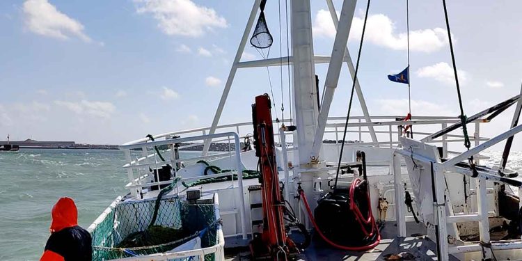 Frischer Fisch online kaufen bei Nordseefisch.de - direkte levering fra danske kuttere