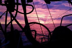 Forslag om trawlforbud er ikke løsningen for Østersøen