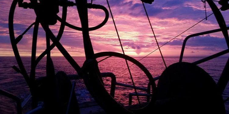 Debatmøde i Korsør: Der findes andre løsninger for Østersøen’s fiskeri