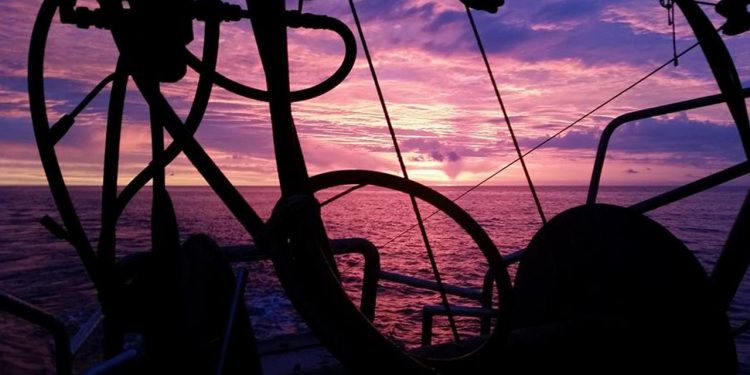 Forslag om trawlforbud er ikke løsningen for Østersøen