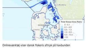 Nyt kortlægningsværktøj viser danske fiskeres bundslæbende redskaber på havbunden foto: DTU Aqua