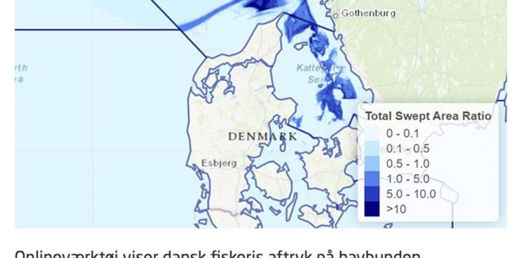 Nyt kortlægningsværktøj viser danske fiskeres bundslæbende redskaber på havbunden foto: DTU Aqua