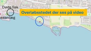 Hos Thisted Kommune er problemet velkendt. Kristian Tilsted (V), medlem af erhverv-, klima-, miljø- og teknikudvalget og bestyrelsesformand for Thy Forsyning, forklarer, at der findes en dispensation til at lede spildevand ud under ekstreme regnskyl. foto: Knud Jeppesen 