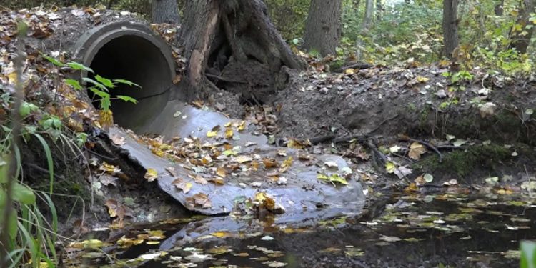 Forstå overløb fra kloakerne ifølge vores Miljøstyrelse foto: mst