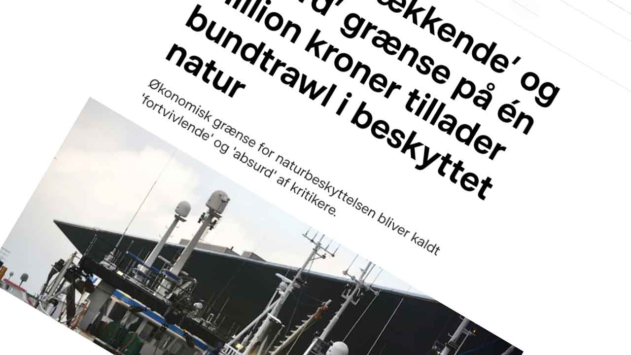 Read more about the article DRs artikel om fremtidens fiskeri mangler nuancer
