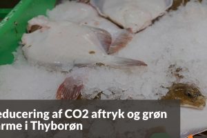 Thyborøn Havn giver Co2 neutral overskudsvarme