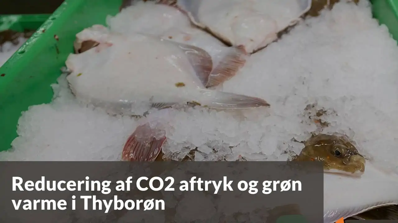 Read more about the article Fiskeauktionens køleanlæg giver CO2 neutral varme i Thyborøn