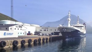 På Færøerne er det forsat fiskeindustrierne som Pelagos i Fuglefjord der modtager store mængder makrel foto: Pelagos