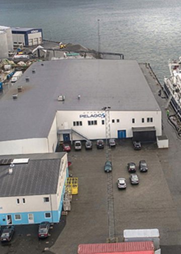 Færøerne: Der landes atlantiske sild til sildefabrikkerne foto: Pelagos i Fuglefjord