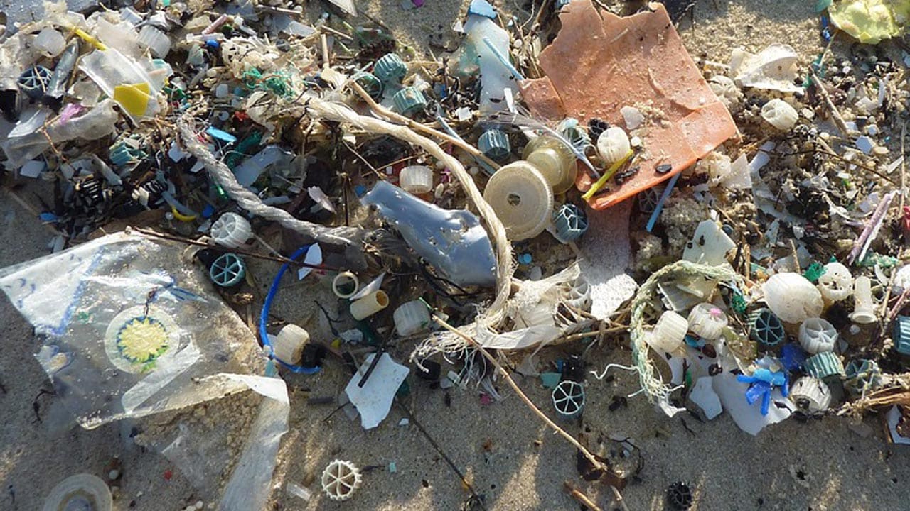 Read more about the article Micro-plast er et større problem end først antaget