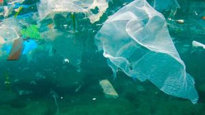 Et evigt problem hvis ikke det fjernes, siger ny forskning fra Aalborg Universitet, der har fundet de mange tons mikroplast på bunden af Limfjorden. Fjorden betegnes nu som en »losseplads for mikroplast«. foto: Forskning.no