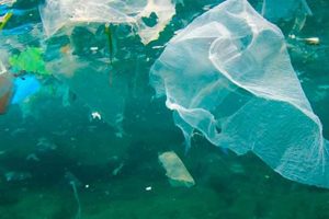 Et evigt problem hvis ikke det fjernes, siger ny forskning fra Aalborg Universitet, der har fundet de mange tons mikroplast på bunden af Limfjorden. Fjorden betegnes nu som en »losseplads for mikroplast«. foto: Forskning.no