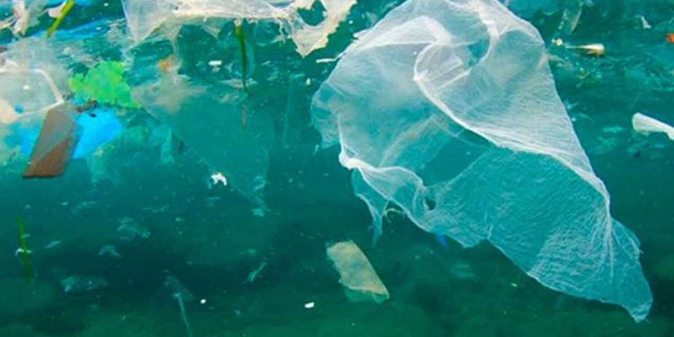 Et evigt problem hvis ikke det fjernes, siger ny forskning fra Aalborg Universitet, der har fundet de mange tons mikroplast på bunden af Limfjorden. Fjorden betegnes nu som en »losseplads for mikroplast«. foto: Forskning.no