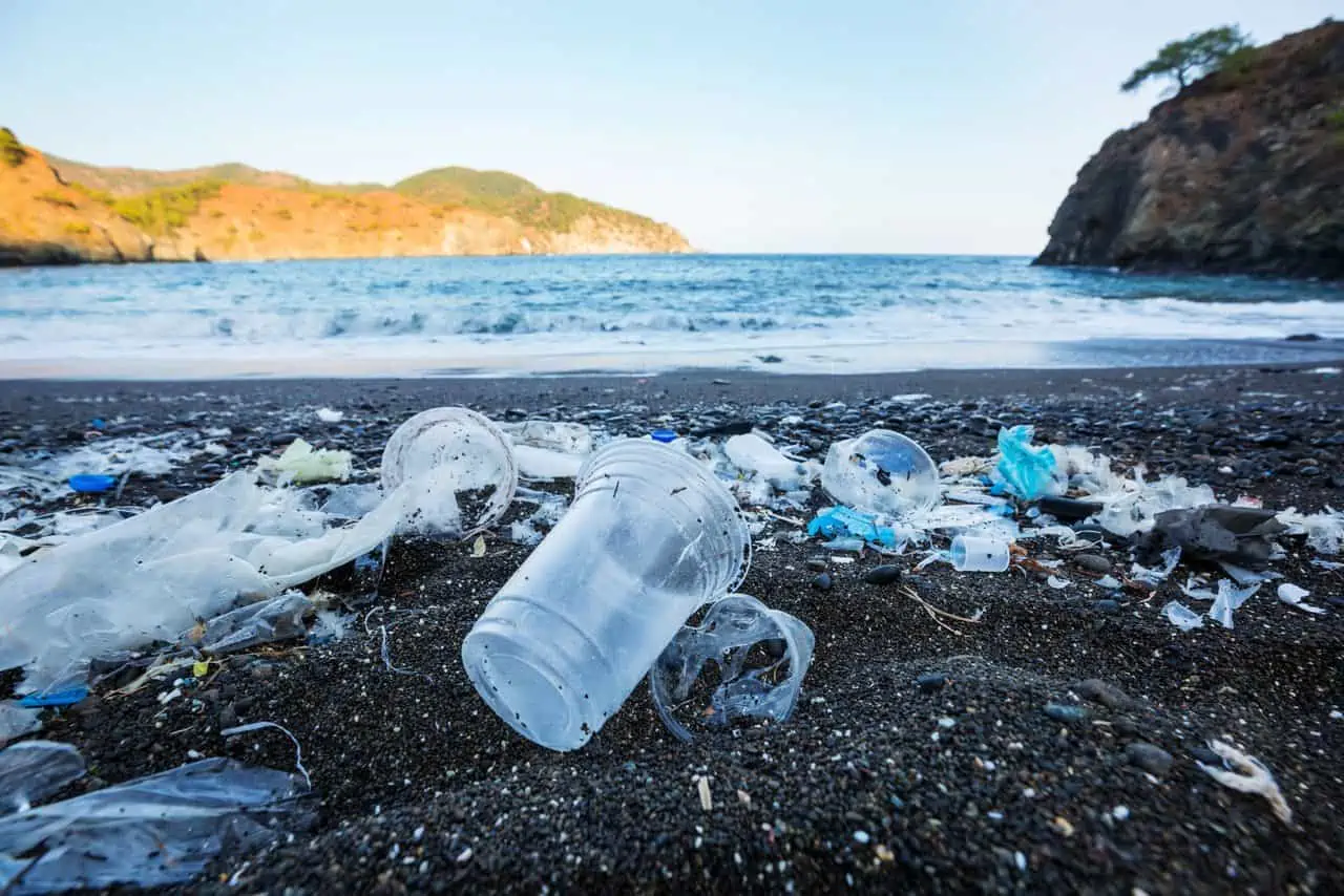 Read more about the article Det skal være slut med plastikforurening til vands og til lands