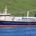 Grønlandske Polar Princess landede i ugen en last på 1000 tons frossen makrel, som de har fisket i internationalt farvand nord for Færøerne. Da de havde landet tog de tilbage på fiskeri efter makrel. foto: Kiran J