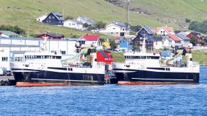 Færøerne: Den færøske guldlakse-kvote er opfisket