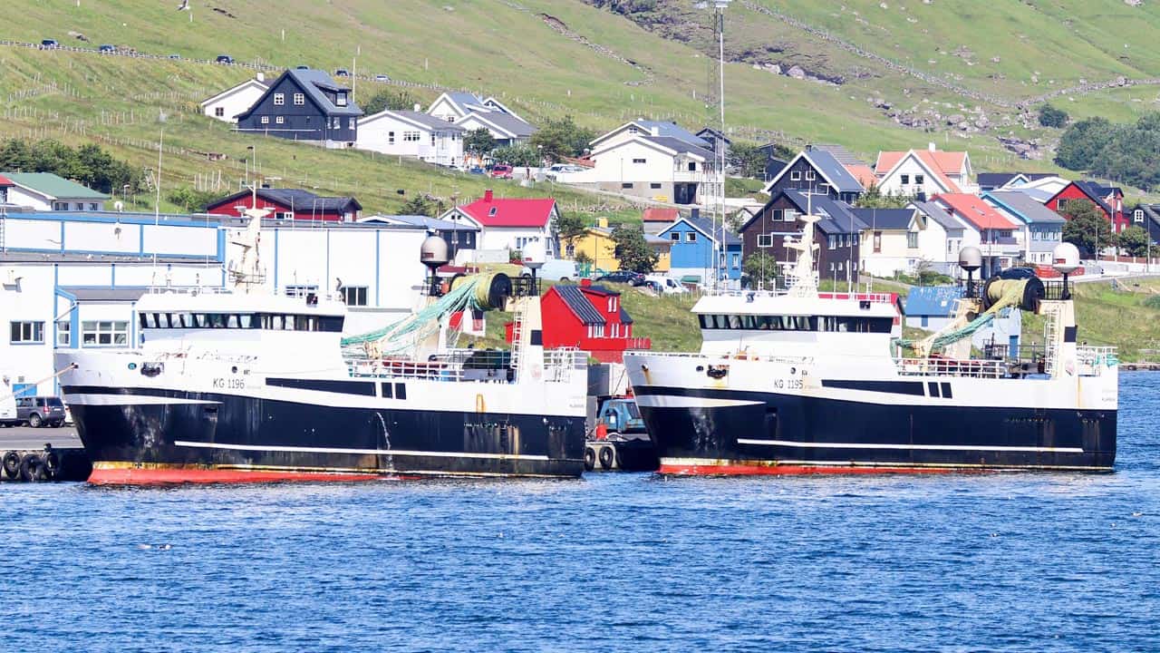 Read more about the article Færøerne: Den færøske guldlakse-kvote er opfisket