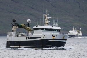 I Klaksvik landede **Stjørnan** og **Polarhav** 140.000 pund, hvoraf der i lasten overvejende var sej foto: Kiran J