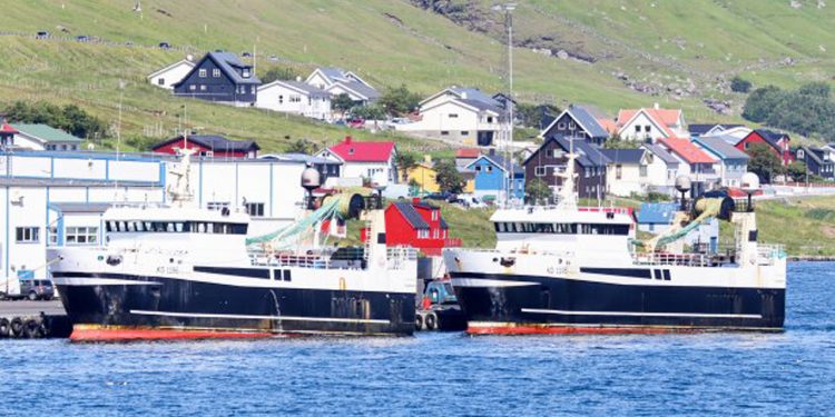 Færøerne: Fisken med de gyldne skel og store øjne landes nu foto: Kiran J