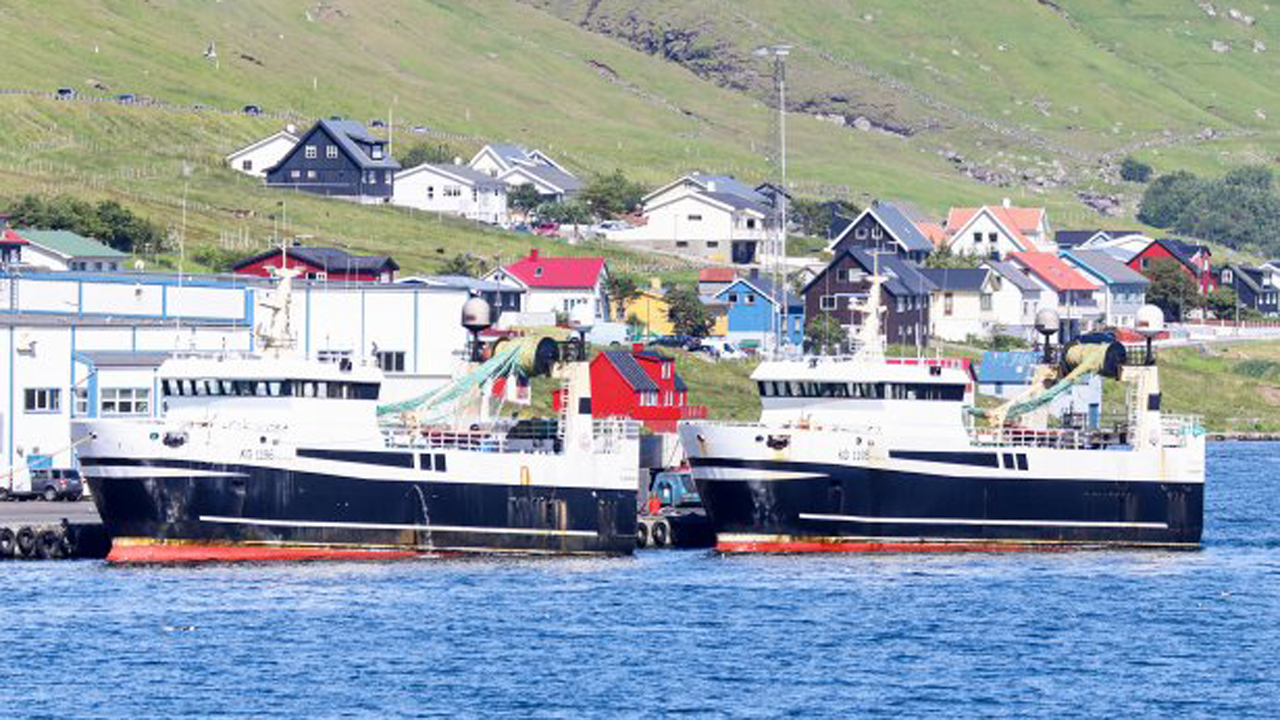 Read more about the article Færøerne: Den langsomme svømmer fanges tæt på havbunden