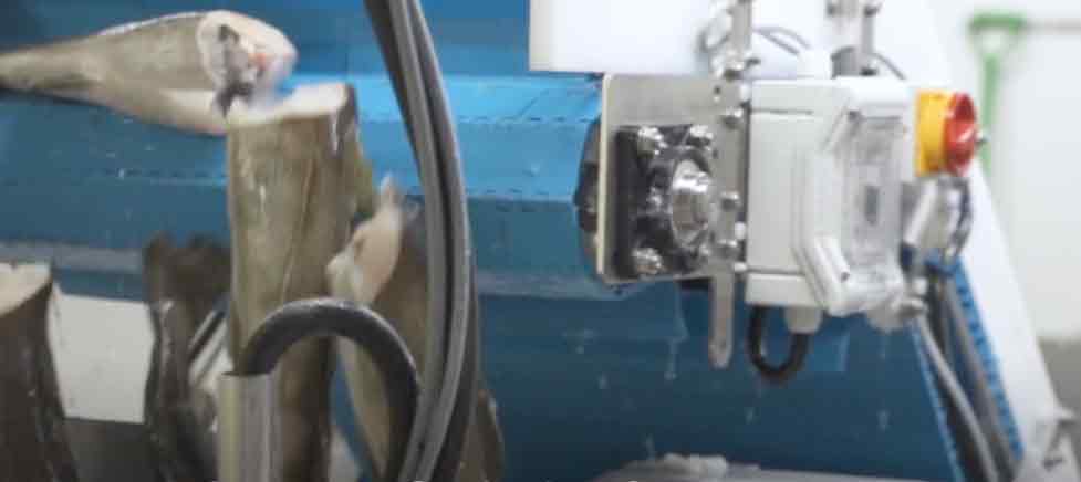 produktion Royal Greenland