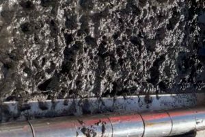 Ny norsk forskning peger på, at svovlforbindelser er den afgørende faktor bag dårlige forhold på havbunden – og at mikroorganismer spiller en langt større rolle for havets sundhed, end man hidtil har troet. foto: Knut Rudi Forskning.no